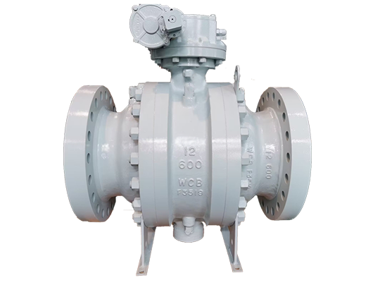 Trunnion mounted ball valves